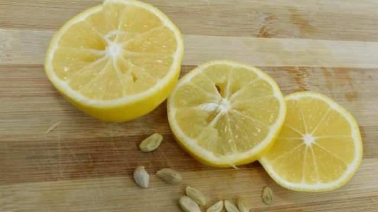 Foto - Faydasını duyunca şaşıracaksınız! Limon çekirdeklerini sakın çöpe atmayın