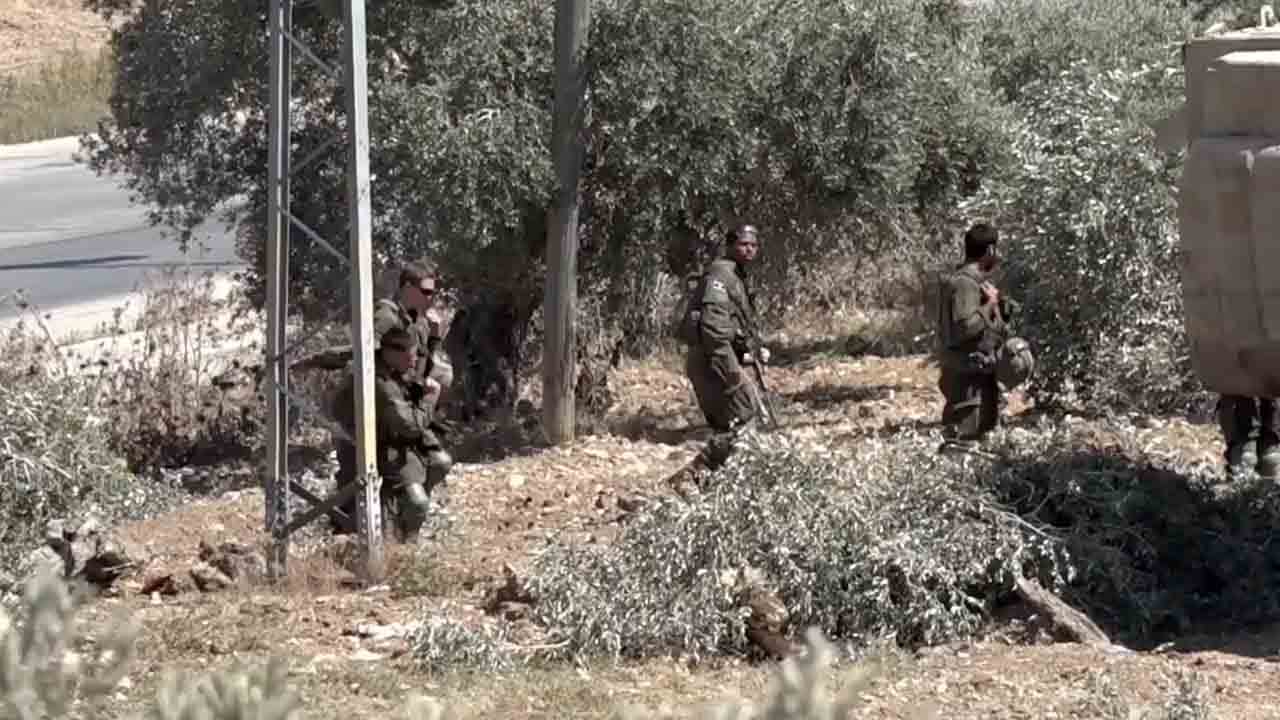 Foto - Filistinlilerden zeytin ağaçlarını söken siyoniste cevap: Allah büyük! Kat kat fazlasını ekeceğiz…