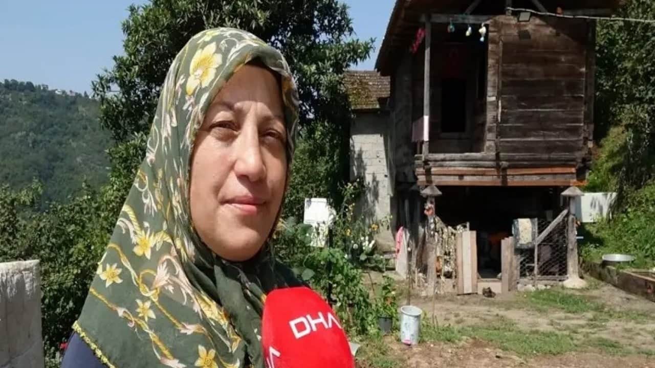 Foto - Fındığa büyük zarar veriyordu! Kokarca sorunu böyle çözüldü 