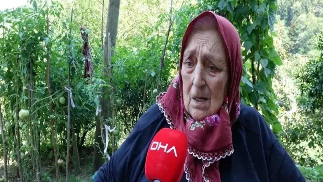 Foto - Fındığa büyük zarar veriyordu! Kokarca sorunu böyle çözüldü 