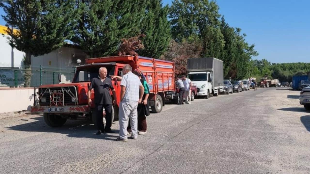 Foto - Fındık sezonu başadı! Alım noktalarında uzun kuyruk