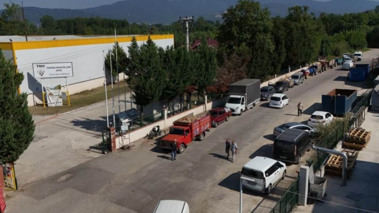 Foto - Fındık sezonu başadı! Alım noktalarında uzun kuyruk