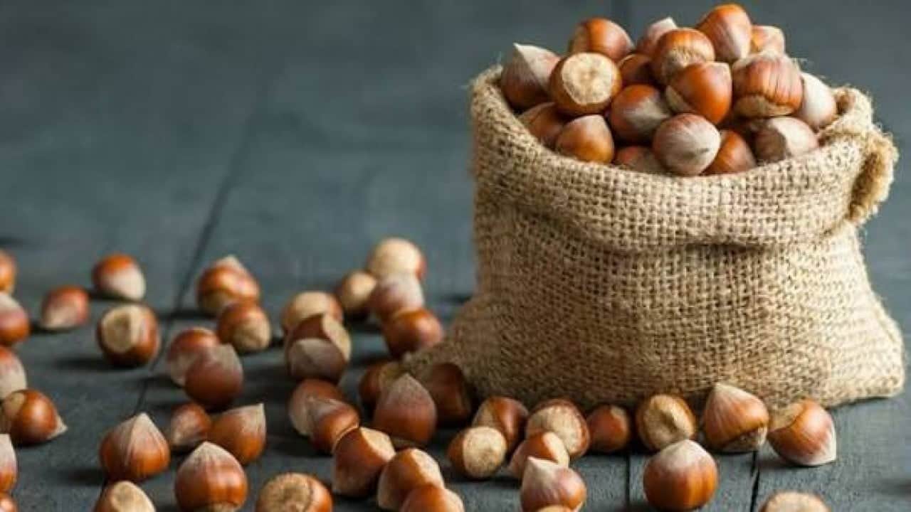 Foto - Fındıkta dengeler değişti İhracat azaldı kazanç arttı!