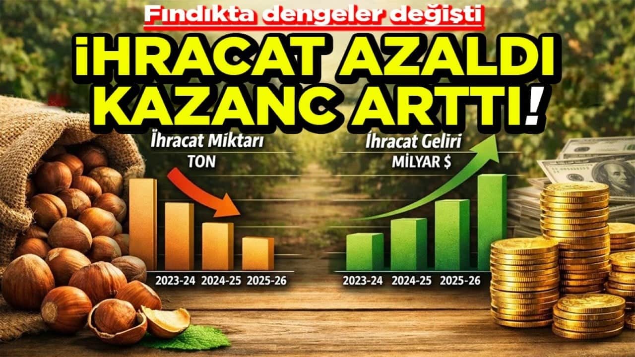 Fındıkta dengeler değişti İhracat azaldı kazanç arttı!