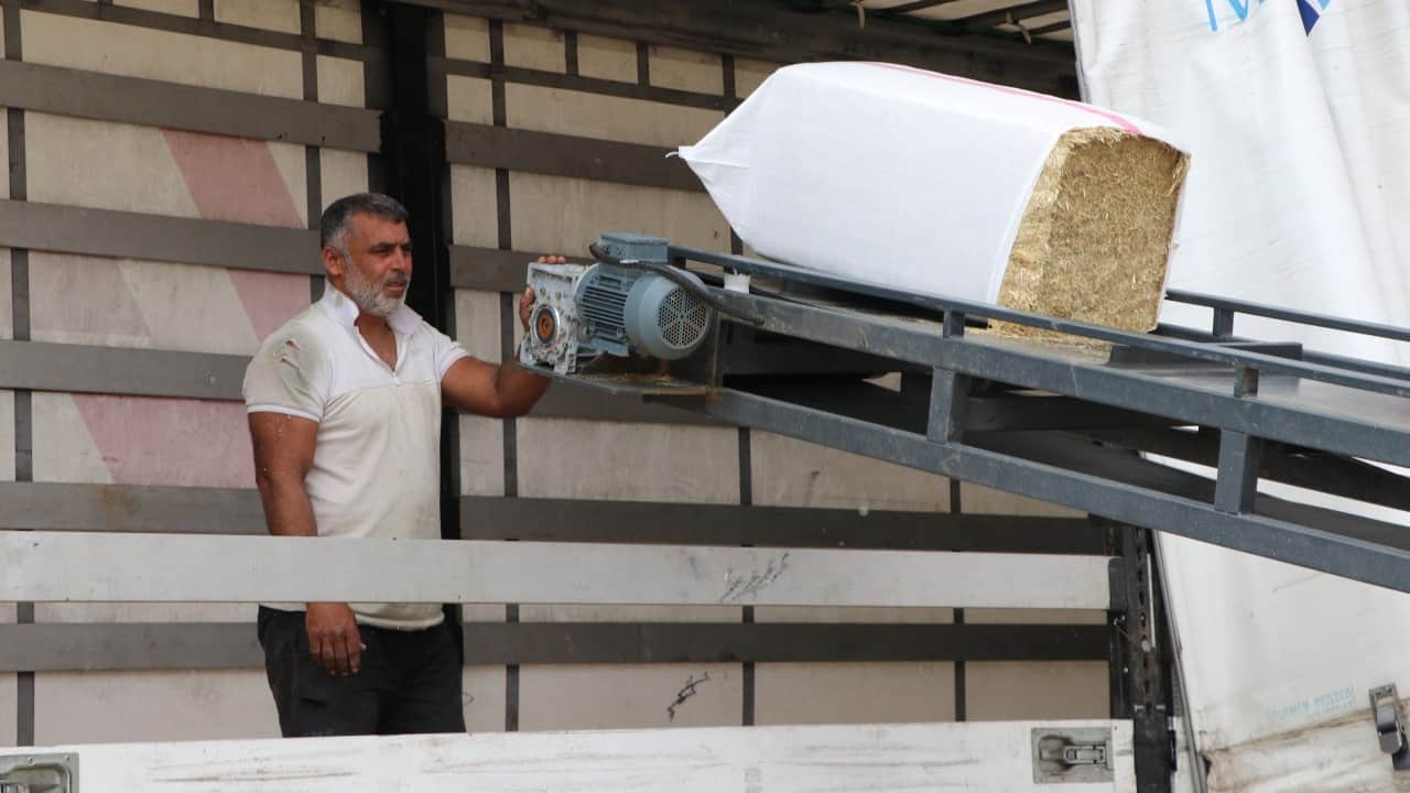 Foto - Fiyatı 1 yılda 10 liradan 3 liraya düştü! Almak için Yozgat'a koşuyorlar