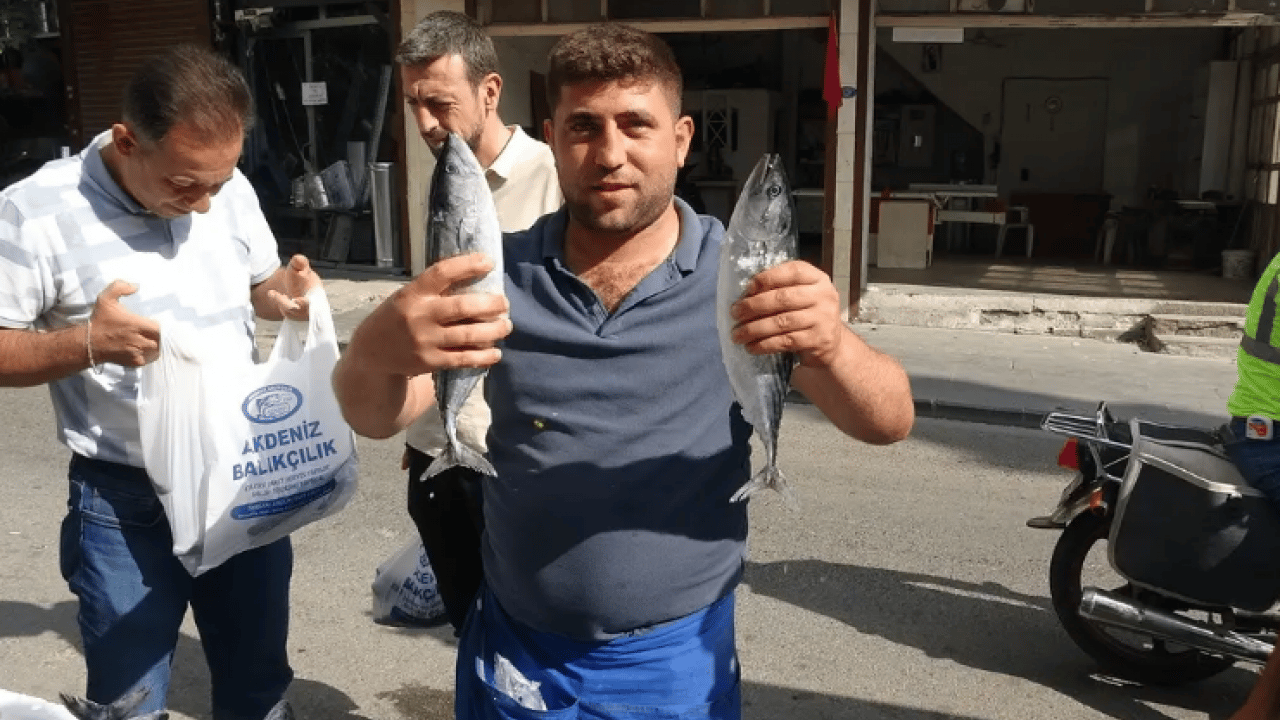 Foto - Fiyatı 100 TL'ye düştü! Sevinçten çiğ çiğ yedi!