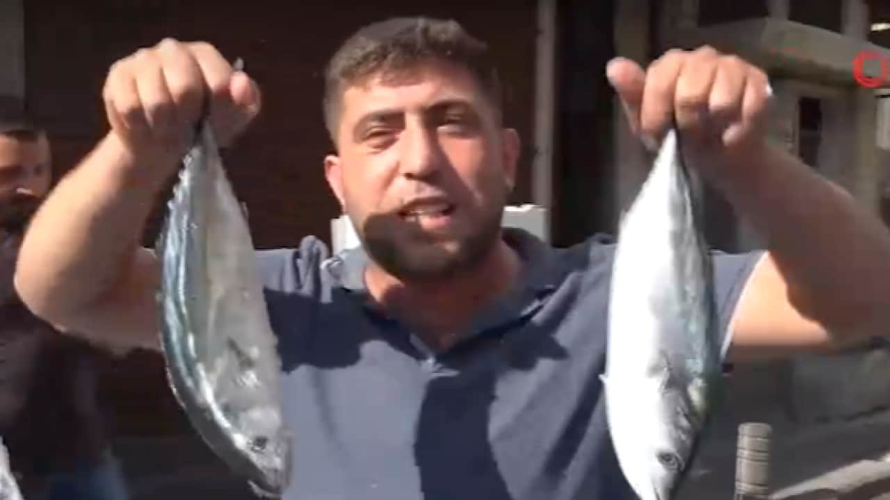 Foto - Fiyatı 100 TL'ye düştü! Sevinçten çiğ çiğ yedi!