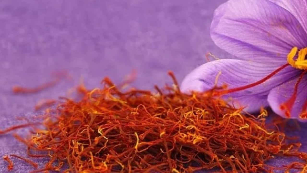 Foto - Fiyatını duyan şaşkına dönüyor! Dünyanın en pahalı baharatında sezon başladı