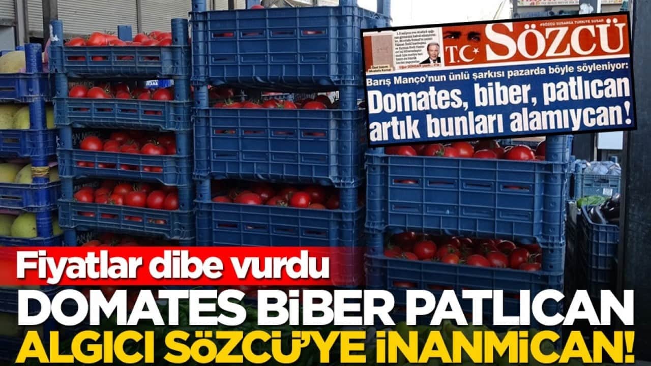 Fiyatlar dibe vurdu! Domates biber patlıcan, algıcı Sözcü’ye inanmican!