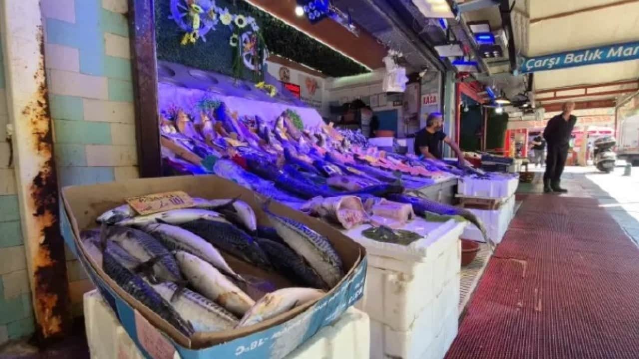 Foto - Fiyatlarda düşüş bekleniyor! Bu yıl palamut balığında bolluk yaşanacak