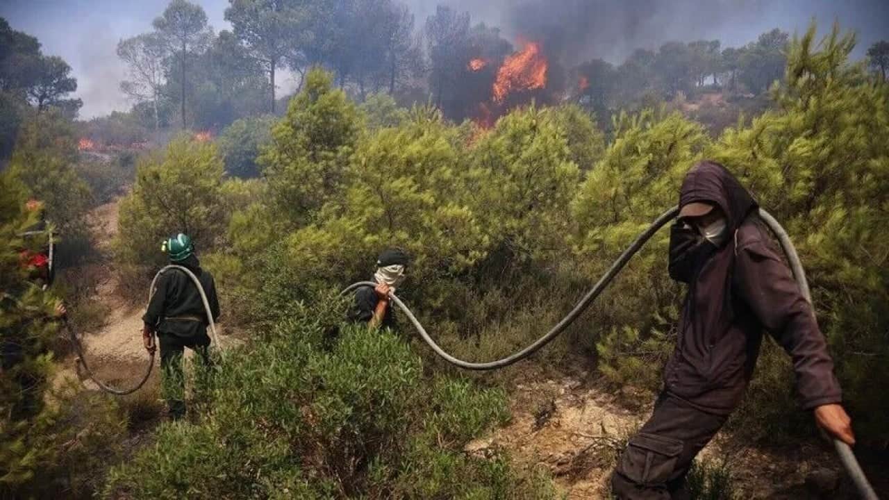 Foto - Geçen ay 6 kişi hayatını kaybetmişti Orman yangınında 12 kişi daha can verdi