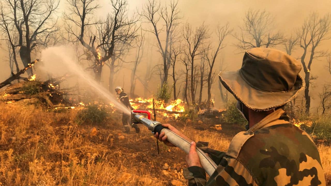 Foto - Geçen ay 6 kişi hayatını kaybetmişti Orman yangınında 12 kişi daha can verdi