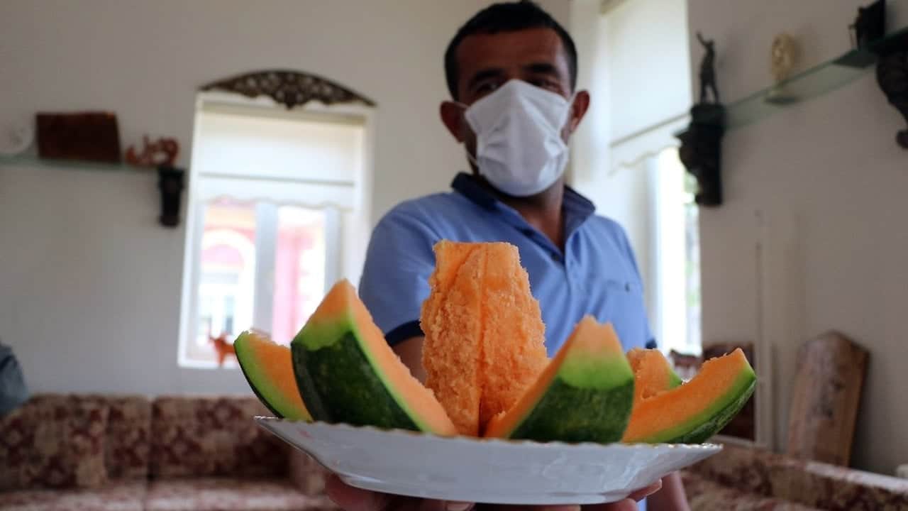Foto - Geçen yıl 100 liraydı, bu yıl 30’a düşünce kargolar kilitlendi! Görüntüsü kavun, tadı birebir muz: Türkiye’nin dört bir yanından talep yağıyor