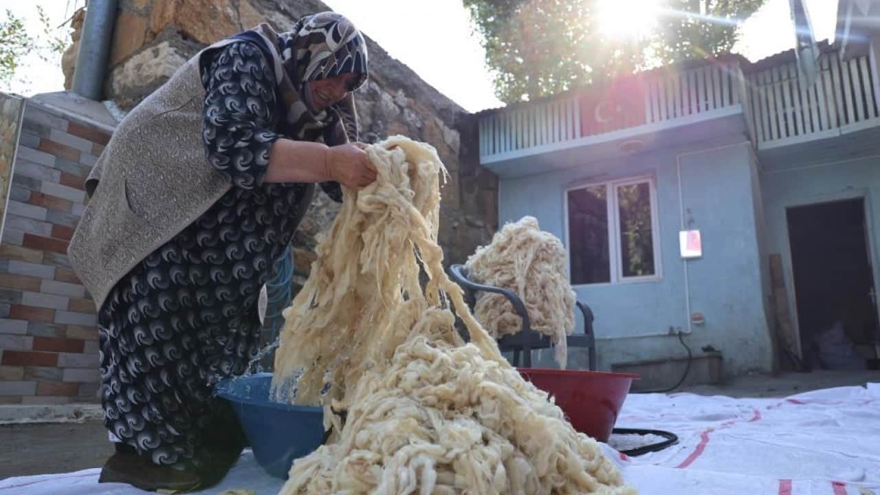 Foto - Gençler zahmetine girmiyor Sağlıklı yün yatak yorgan yerine sünger!