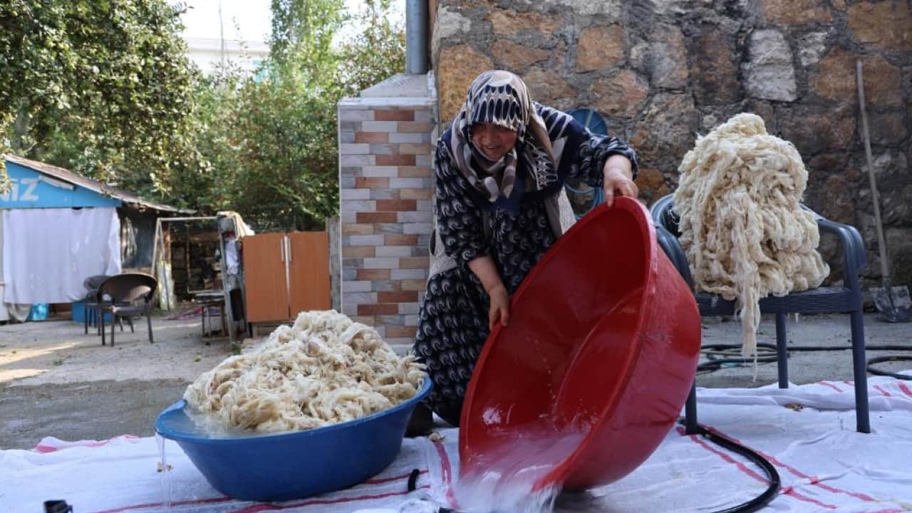 Foto - Gençler zahmetine girmiyor Sağlıklı yün yatak yorgan yerine sünger!