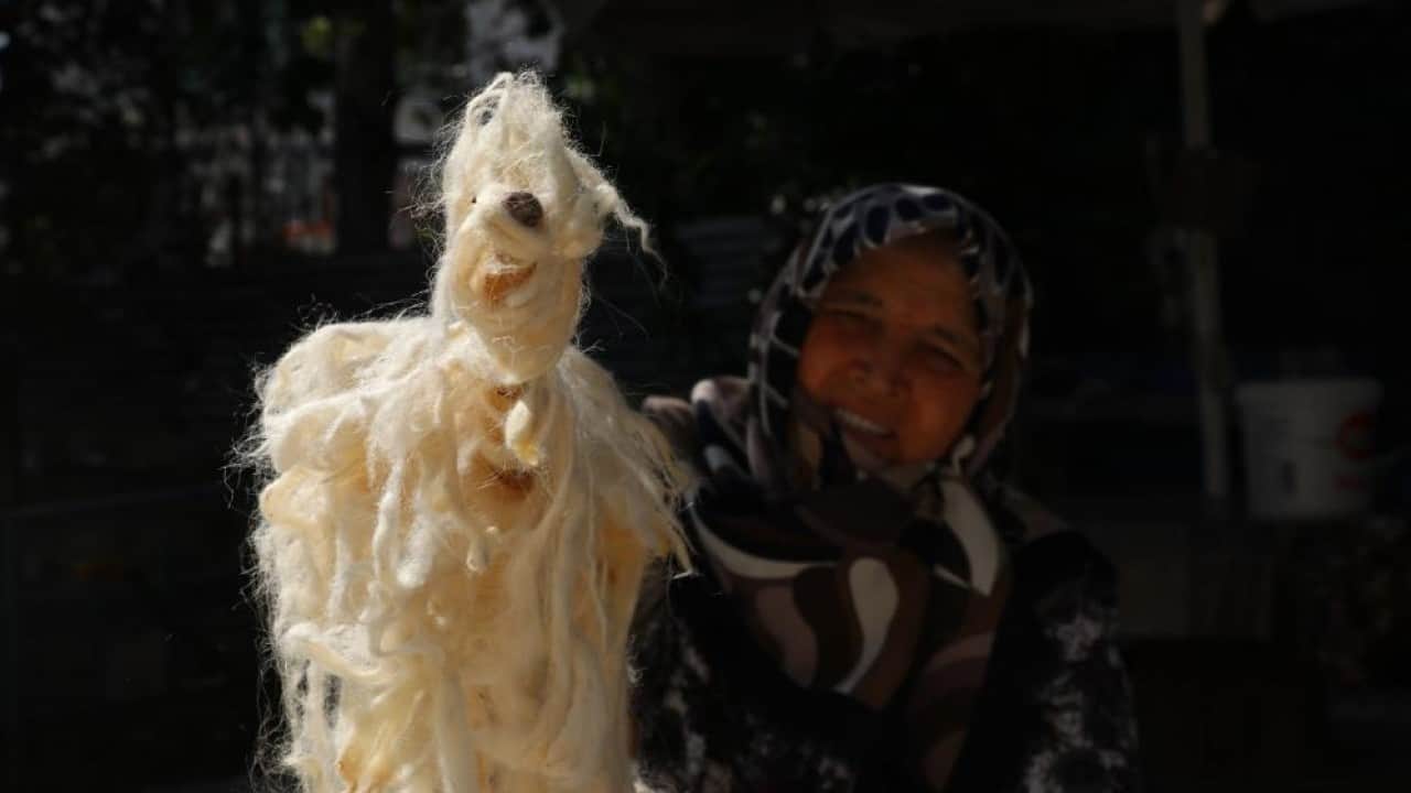 Foto - Gençler zahmetine girmiyor Sağlıklı yün yatak yorgan yerine sünger!