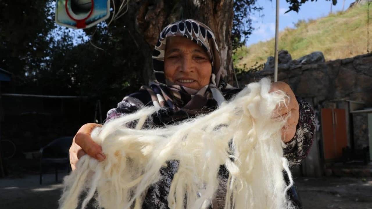 Foto - Gençler zahmetine girmiyor Sağlıklı yün yatak yorgan yerine sünger!