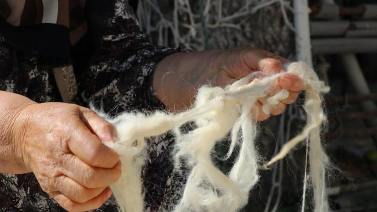 Foto - Gençler zahmetine girmiyor Sağlıklı yün yatak yorgan yerine sünger!