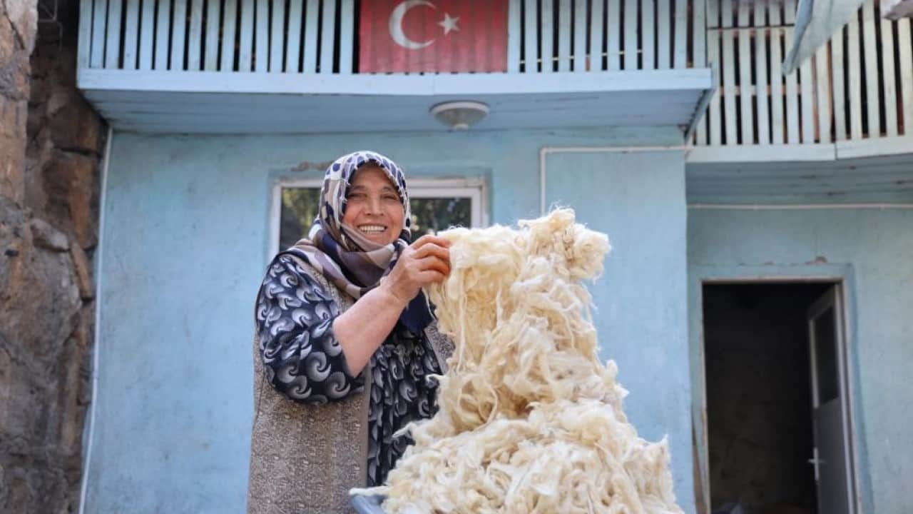 Foto - Gençler zahmetine girmiyor Sağlıklı yün yatak yorgan yerine sünger!