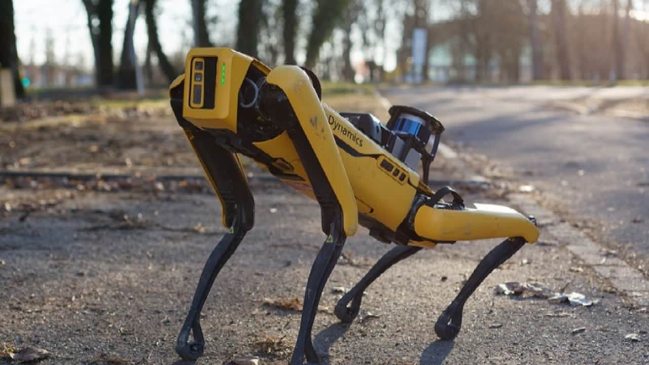Foto - Göçmenlerin peşinde artık robotlar olacak ICE köpekleşecek