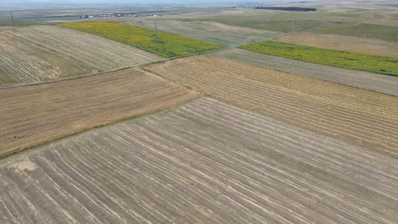 Foto - Gökyüzünden bakınca bambaşka görünüyor! Kars’ın tarlaları dev bir kilimi andırdı