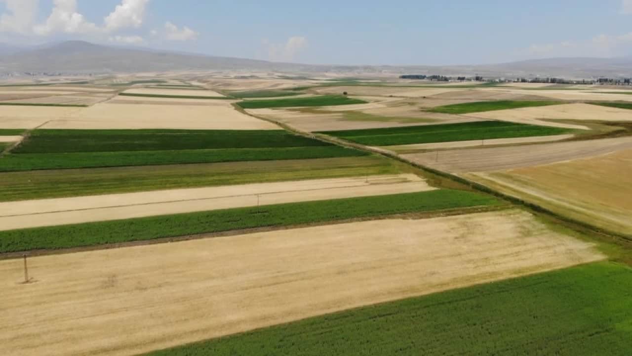 Foto - Gökyüzünden bakınca bambaşka görünüyor! Kars’ın tarlaları dev bir kilimi andırdı