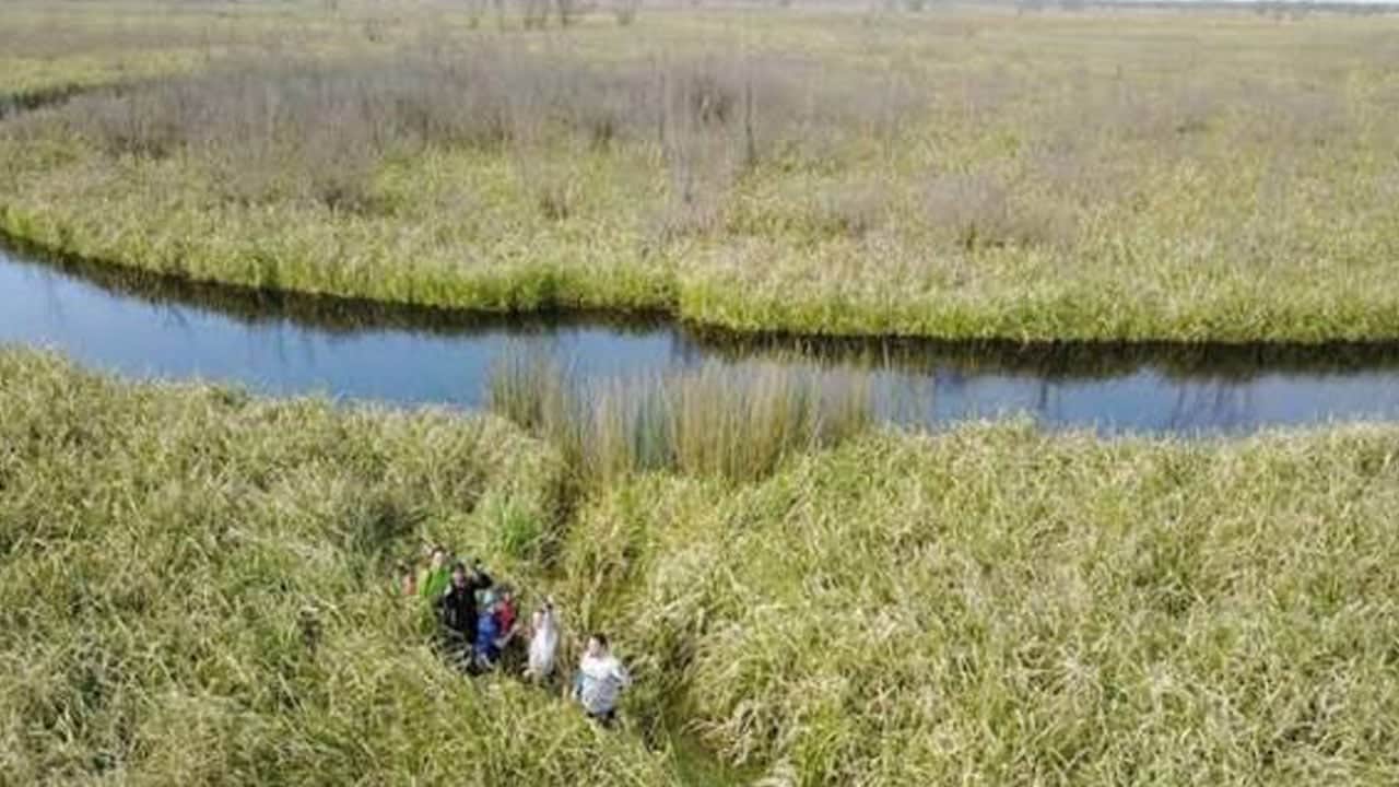 Foto - Google Earth’te fark edildi! Suyun üstünde dönen gizemli ada
