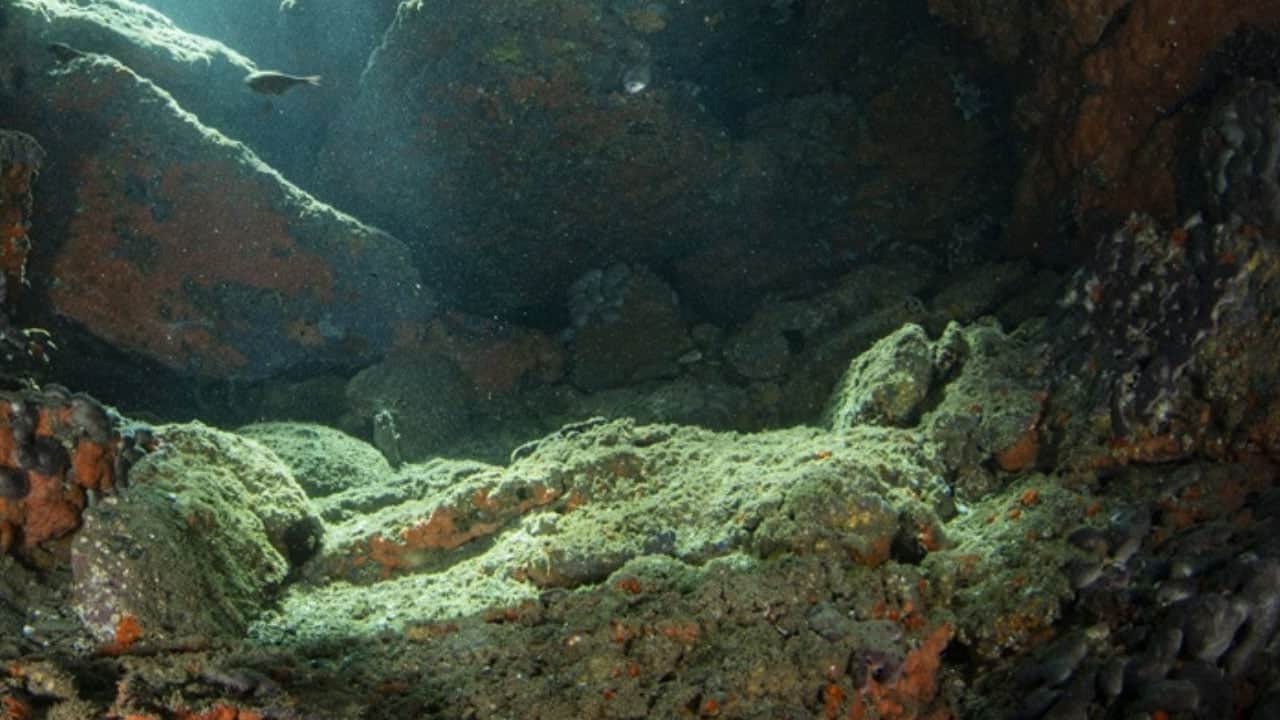 Foto - Gözler oraya çevrildi... Bu keşif su altı mağaralarında... Rotayı Kuşadası'na kırdılar... Çok konuşuluyor