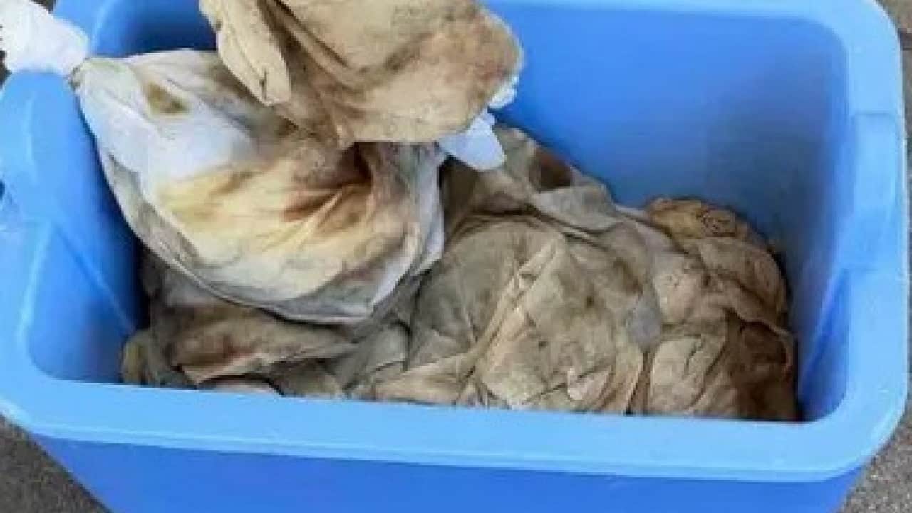 Foto - Gümrükçüler şoke oldu: Arabadan çuval çuval sülük çıktı