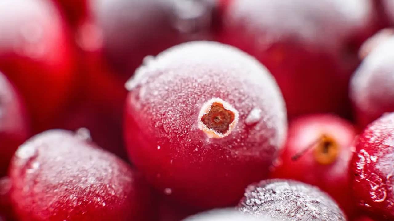 Foto - Günde bir avuç turna yemişi tüketin! Her derde deva... Faydası saymakla bitmiyor, kalbe iyi geliyor