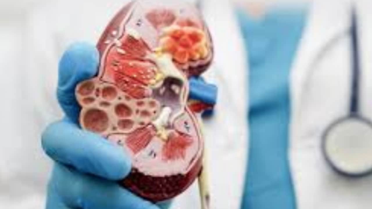Günde ne kadar su tüketilmeli? Sıvı kaybı böbrek taşı riskini artırıyor...