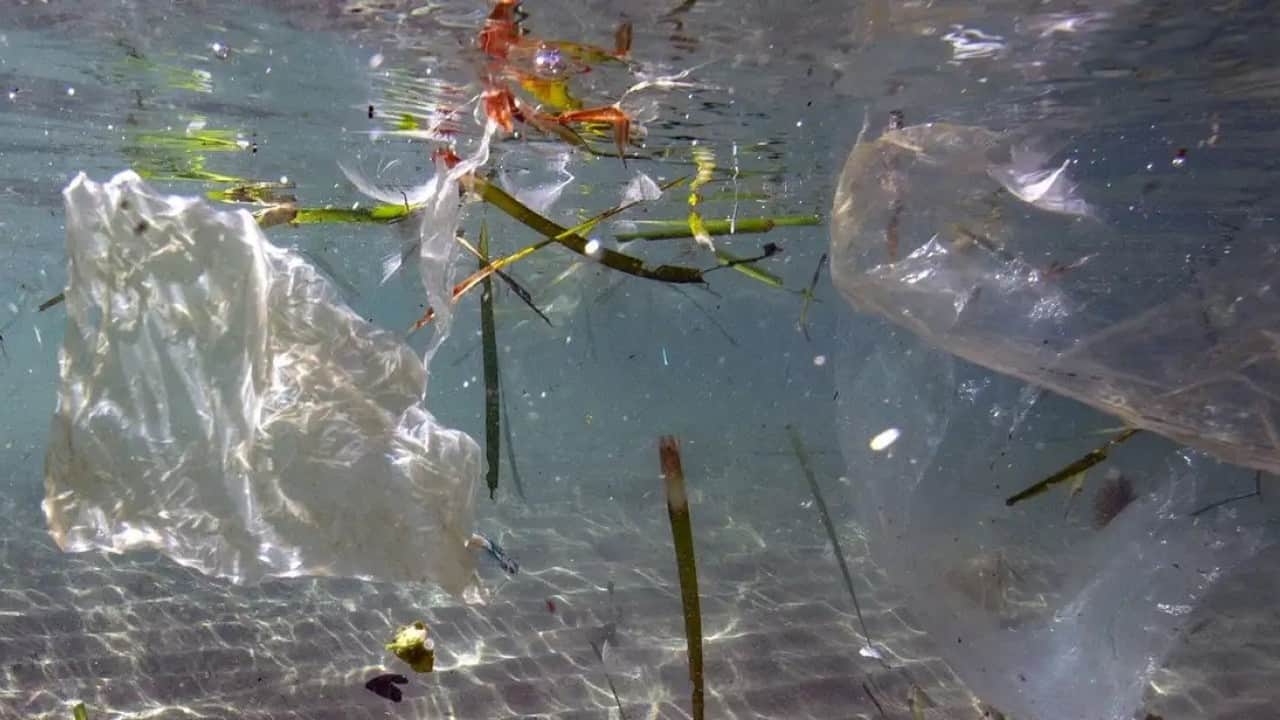 Foto - Güney rüzgarları Akdeniz’in bütün çöpünü taşıyor! Sahillerimiz plastik atık işgali altında