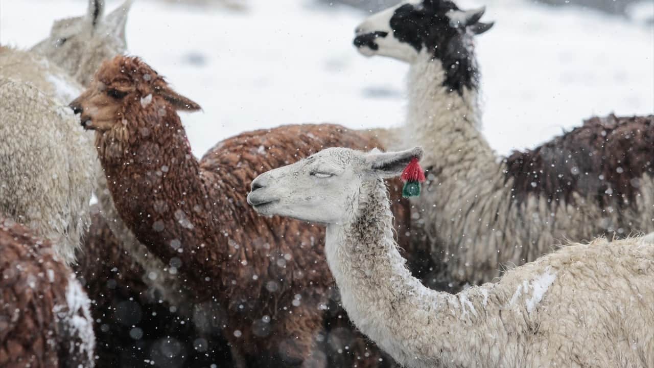 Foto - Güney yarımkürede yer alıyor! Soğuk hava ve kar yağışı etkili oldu