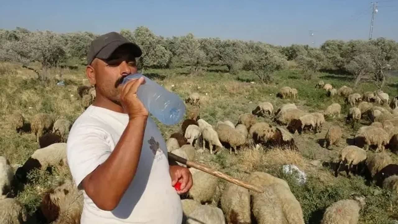 Foto - Günlük 10 litre su tüketiyor: Aylık 80 bin lira veriyor, çalışacak adam bulamıyor.. Sıcakta zorlu mesai