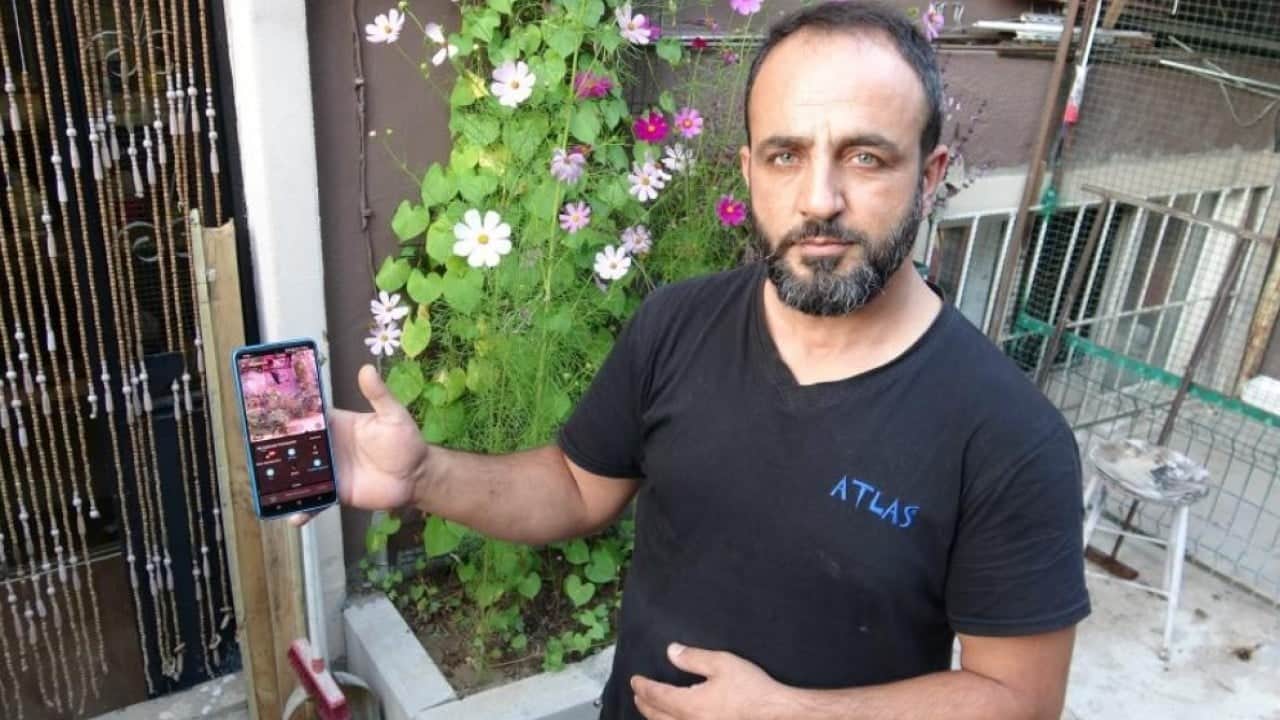 Güvercinleri servet değerinde! 800 bin TL'lik kuşları böyle koruyor
