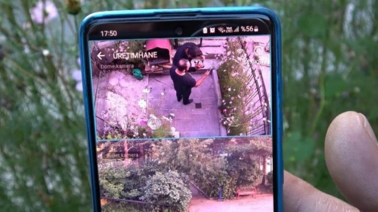 Foto - Güvercinleri servet değerinde! 800 bin TL'lik kuşları böyle koruyor