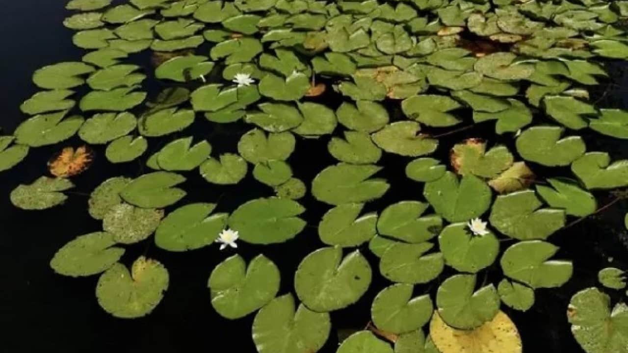 Foto - Güzelliği gerçekliğini sorgulatıyor! İşte Türkiye'de olduğuna inanamayacağınız 7 doğa harikası