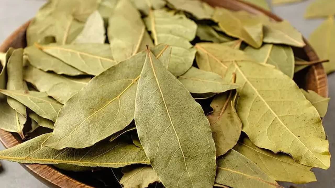 Foto - Hamam böceklerini mucizevi yöntem sayesinde yok edin: Öyle bir şey yaptı ki... Herkesin aklına takılan soruya cevap