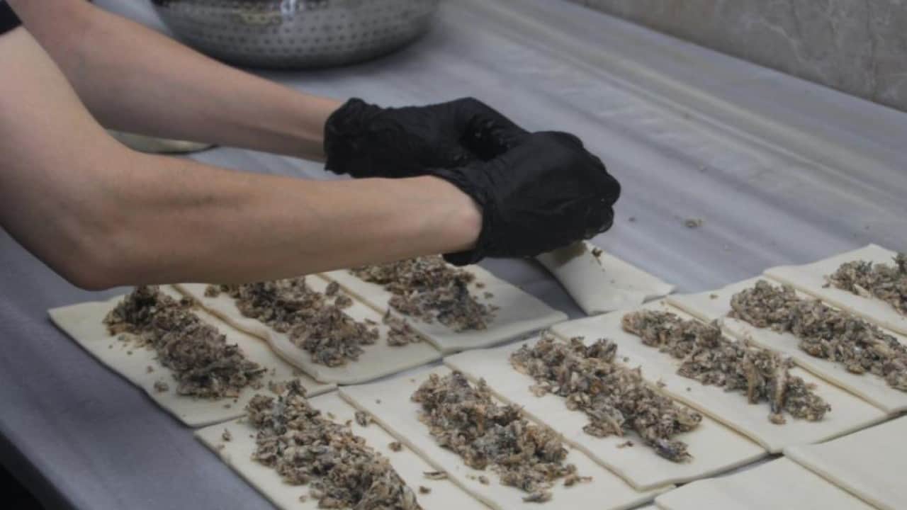 Foto - Hamsi ve simit aynı tabakta buluştu! ’Balık ekmek oluyorsa balık simit de olur’