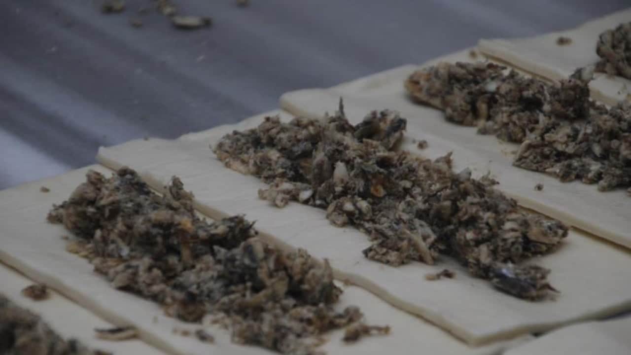 Foto - Hamsi ve simit aynı tabakta buluştu! ’Balık ekmek oluyorsa balık simit de olur’