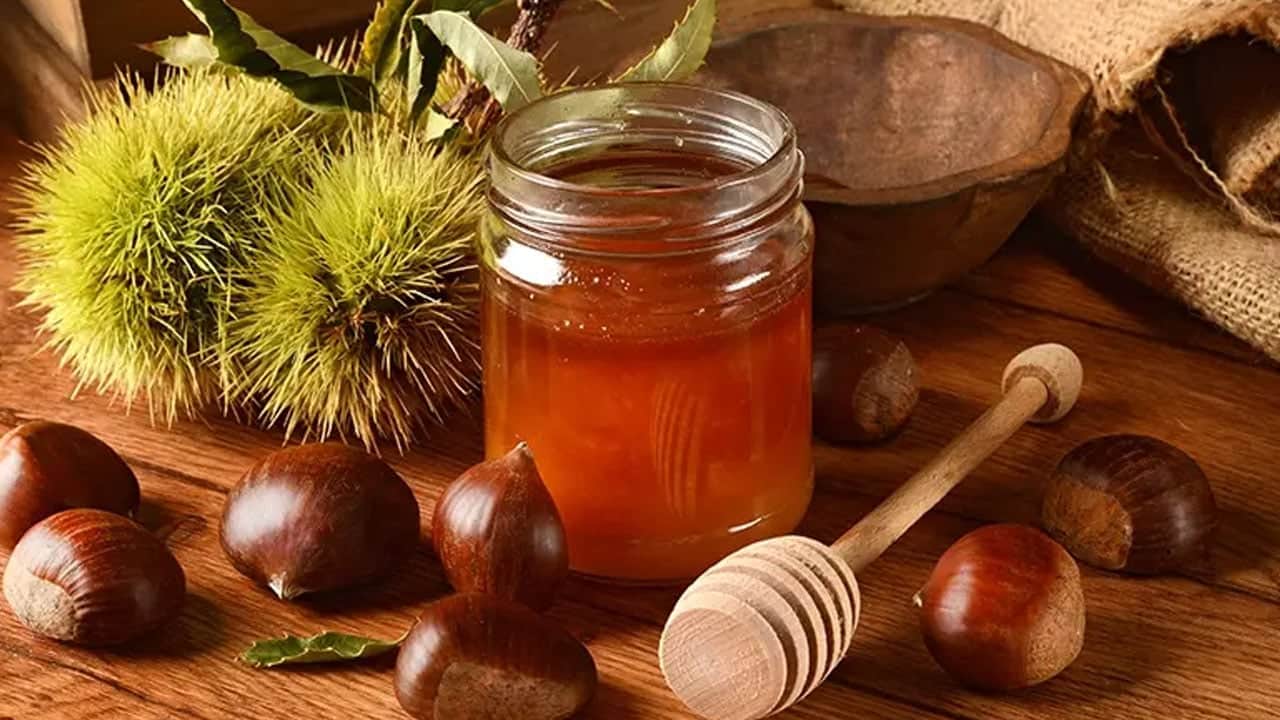 Foto - Hangi bal öksürük için şifa: Kara kovan mı, süzme mi, petek balı mı? Şifa için herkes peşinden koşuyor