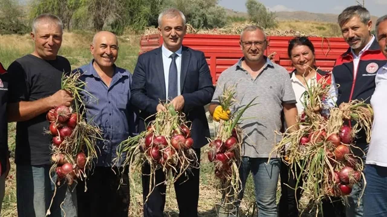 Foto - Hasadı başladı: Kırıkkale’de coğrafi işaretli soğanın herkes peşinde! Eşsiz aromasıyla sofralara geliyor