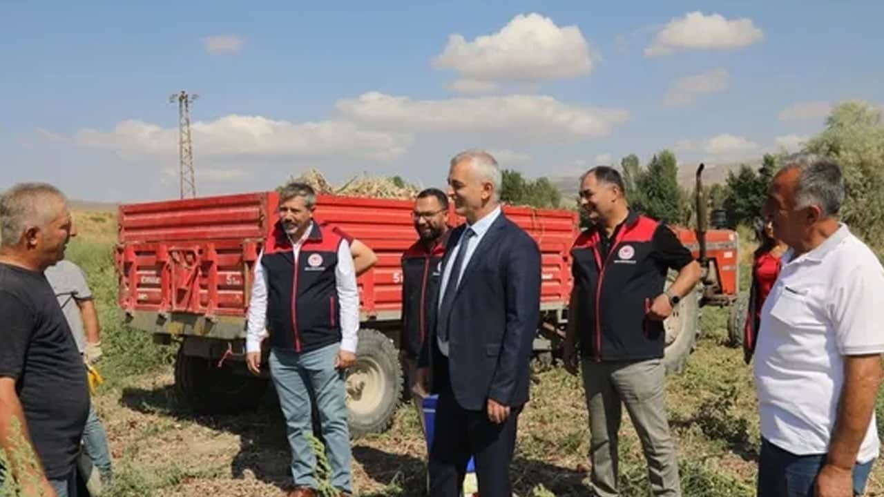 Hasadı başladı: Kırıkkale’de coğrafi işaretli soğanın herkes peşinde! Eşsiz aromasıyla sofralara geliyor
