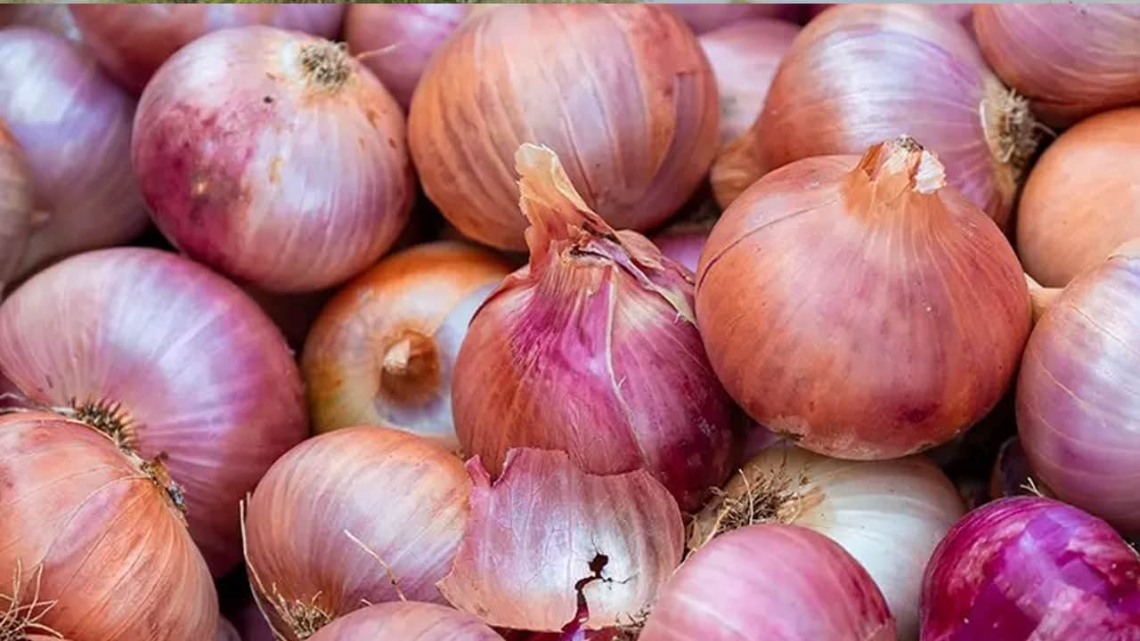 Foto - Hasadı başladı: Kırıkkale’de coğrafi işaretli soğanın herkes peşinde! Eşsiz aromasıyla sofralara geliyor