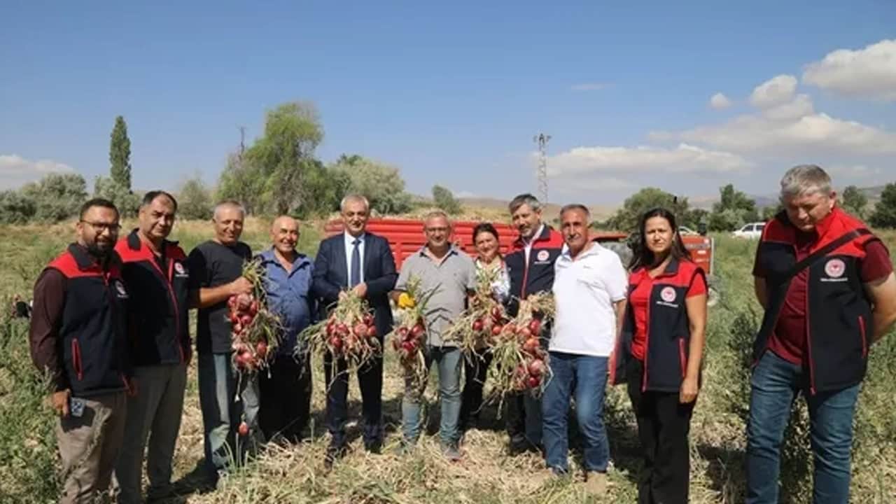 Foto - Hasadı başladı: Kırıkkale’de coğrafi işaretli soğanın herkes peşinde! Eşsiz aromasıyla sofralara geliyor