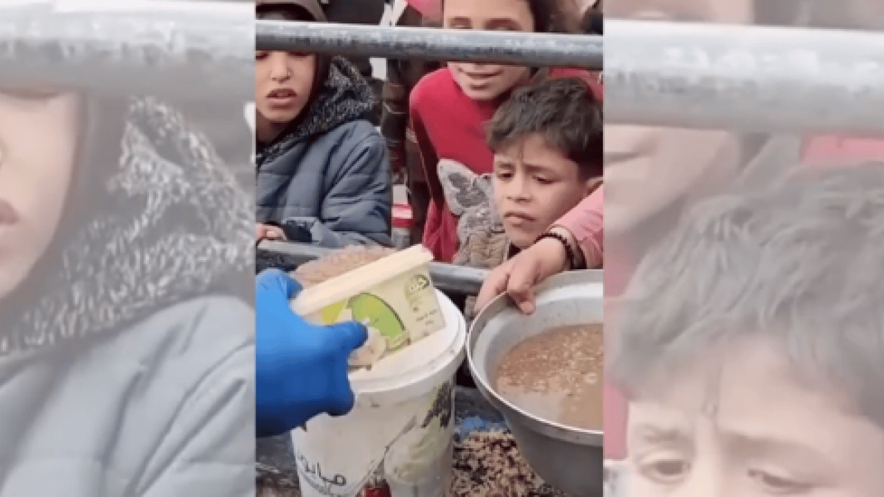 Foto - 'Help Turkey’ zihniyeti yine sahnede! Hadsiz Hadise'ye Oktay Saral'dan sert tepki!