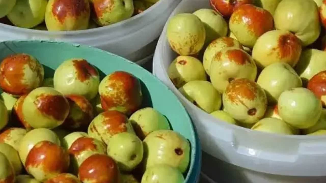Foto - Hem faydalı kem küçük... Çin hurması: Adını çoğu kişi bilmiyor! O besin zengin içeriğiyle öne çıkıyor