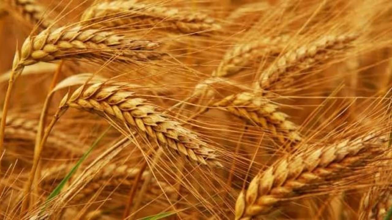 Foto - Hemen hemen her sofrada var! Fiyat 3'e katlanabilir uyarısı