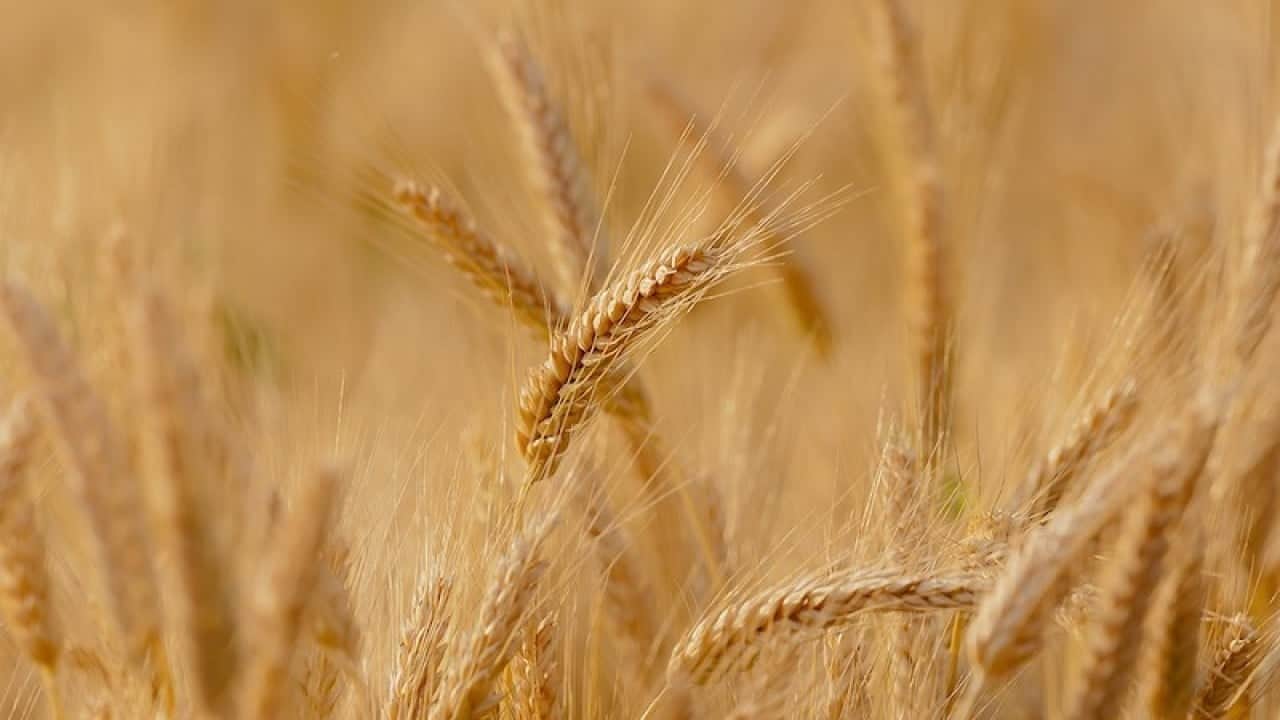 Foto - Hemen hemen her sofrada var! Fiyat 3'e katlanabilir uyarısı