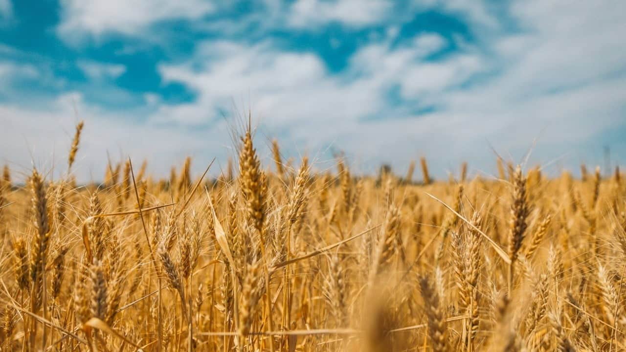 Foto - Hemen hemen her sofrada var! Fiyat 3'e katlanabilir uyarısı